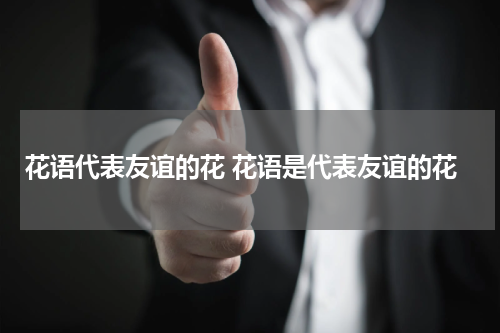 花语代表友谊的花 花语是代表友谊的花