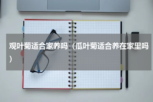 观叶菊适合家养吗(瓜叶菊适合养在家里吗)