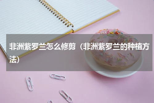 非洲紫罗兰怎么修剪(非洲紫罗兰的种植方法)