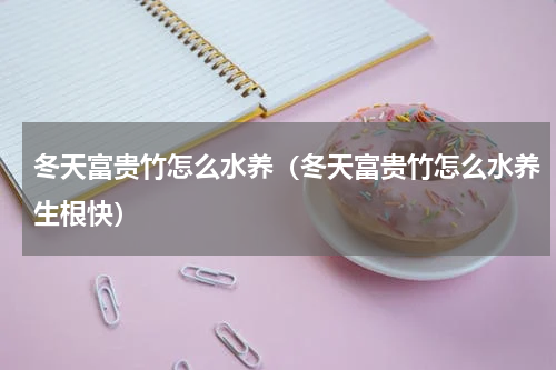 冬天富贵竹怎么水养(冬天富贵竹怎么水养生根快)