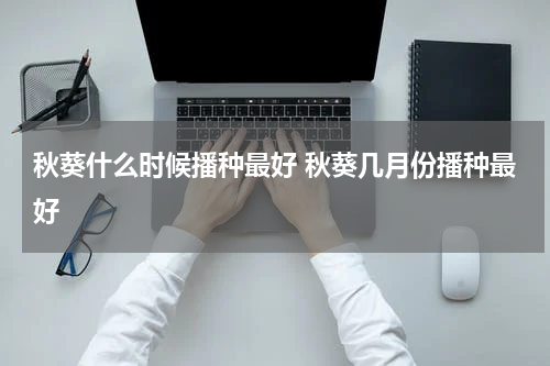 秋葵什么时候播种最好 秋葵几月份播种最好