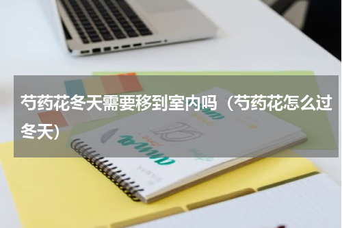 芍药花冬天需要移到室内吗(芍药花怎么过冬天)