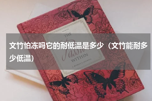 文竹怕冻吗它的耐低温是多少（文竹能耐多少低温）