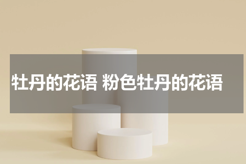 牡丹的花语 粉色牡丹的花语