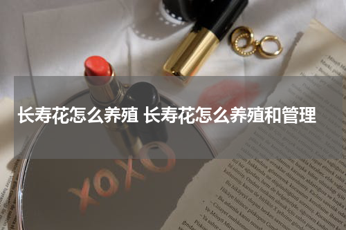 长寿花怎么养殖 长寿花怎么养殖和管理