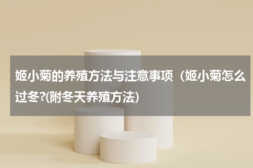 姬小菊的养殖方法与注意事项(姬小菊怎么过冬?(附冬天养殖方法)