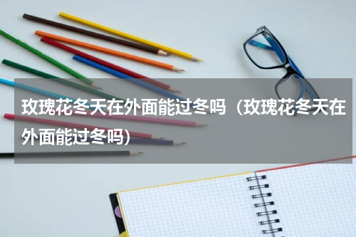 玫瑰花冬天在外面能过冬吗(玫瑰花冬天在外面能过冬吗)
