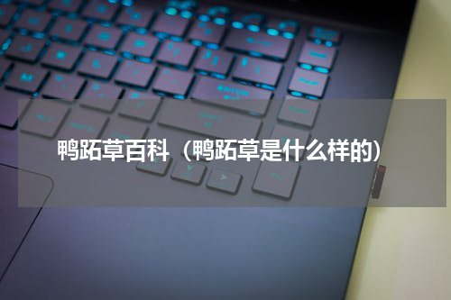 鸭跖草百科(鸭跖草是什么样的)