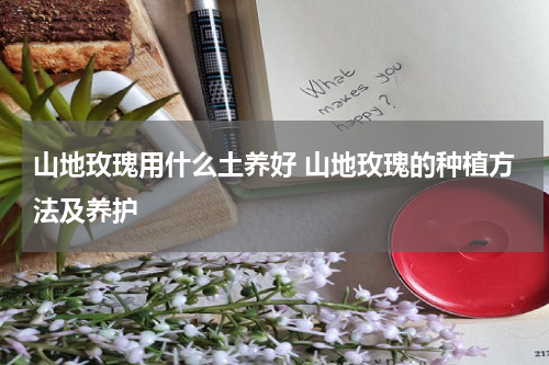 山地玫瑰用什么土养好 山地玫瑰的种植方法及养护