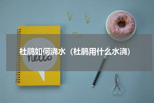 杜鹃如何浇水(杜鹃用什么水浇)