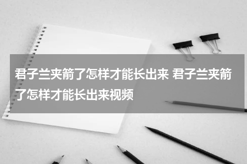 君子兰夹箭了怎样才能长出来 君子兰夹箭了怎样才能长出来视频