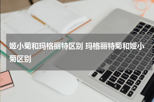 姬小菊和玛格丽特区别 玛格丽特菊和姬小菊区别