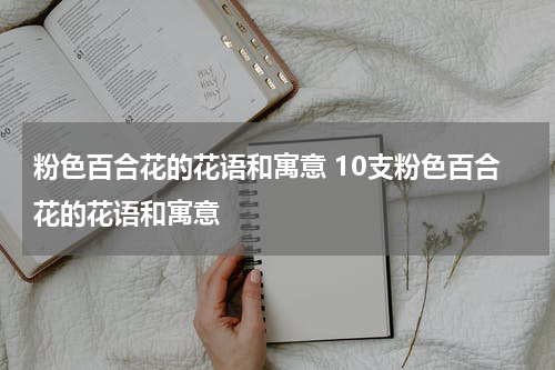 粉色百合花的花语和寓意 10支粉色百合花的花语和寓意