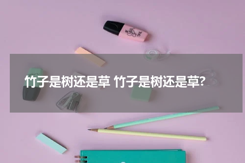竹子是树还是草 竹子是树还是草?