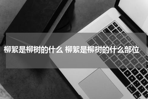 柳絮是柳树的什么 柳絮是柳树的什么部位