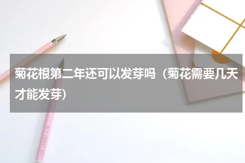 菊花根第二年还可以发芽吗(菊花需要几天才能发芽)