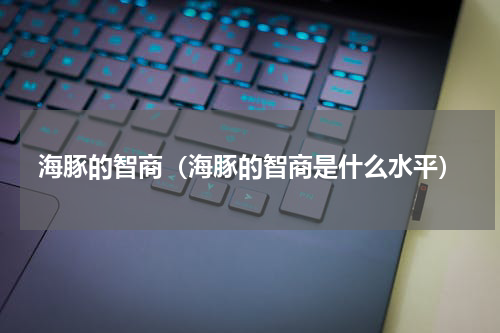 海豚的智商(海豚的智商是什么水平)