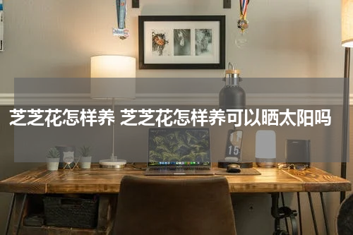 芝芝花怎样养 芝芝花怎样养可以晒太阳吗