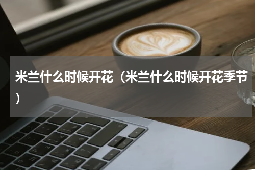 米兰什么时候开花(米兰什么时候开花季节)