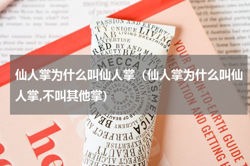 仙人掌为什么叫仙人掌(仙人掌为什么叫仙人掌,不叫其他掌)