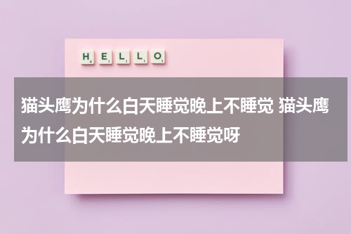 猫头鹰为什么白天睡觉晚上不睡觉 猫头鹰为什么白天睡觉晚上不睡觉呀