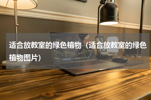 适合放教室的绿色植物(适合放教室的绿色植物图片)