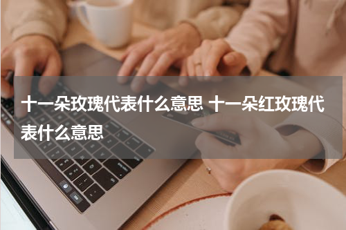 十一朵玫瑰代表什么意思 十一朵红玫瑰代表什么意思