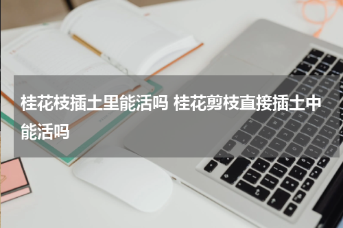 桂花枝插土里能活吗 桂花剪枝直接插土中能活吗