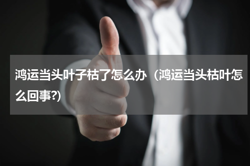 鸿运当头叶子枯了怎么办(鸿运当头枯叶怎么回事?)