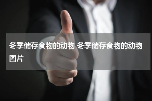 冬季储存食物的动物 冬季储存食物的动物图片