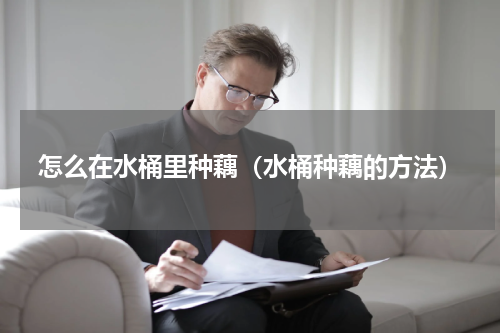 怎么在水桶里种藕(水桶种藕的方法)