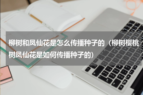 柳树和凤仙花是怎么传播种子的(柳树樱桃树凤仙花是如何传播种子的)