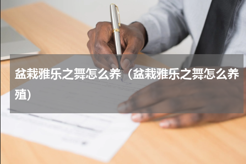 盆栽雅乐之舞怎么养(盆栽雅乐之舞怎么养殖)