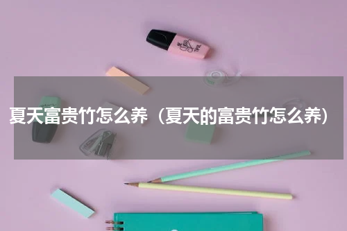 夏天富贵竹怎么养(夏天的富贵竹怎么养)