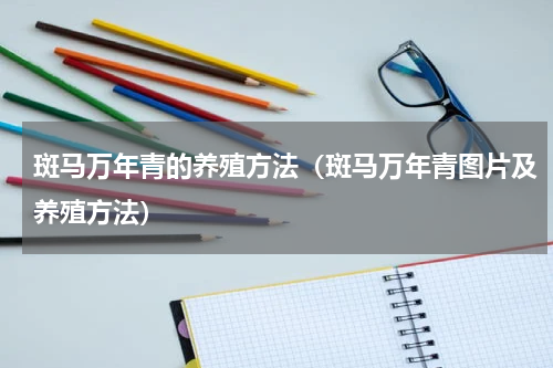 斑马万年青的养殖方法(斑马万年青图片及养殖方法)