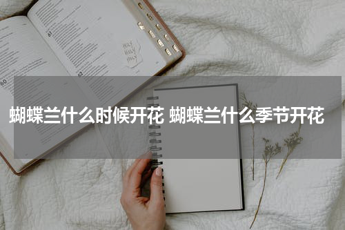 蝴蝶兰什么时候开花 蝴蝶兰什么季节开花