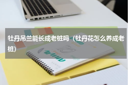 牡丹吊兰能长成老桩吗(牡丹花怎么养成老桩)