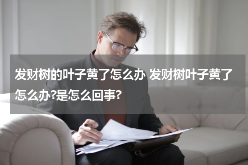 发财树的叶子黄了怎么办 发财树叶子黄了怎么办?是怎么回事?