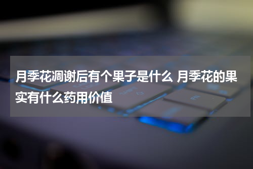 月季花凋谢后有个果子是什么 月季花的果实有什么药用价值