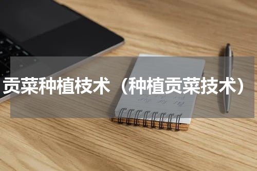 贡菜种植枝术(种植贡菜技术)