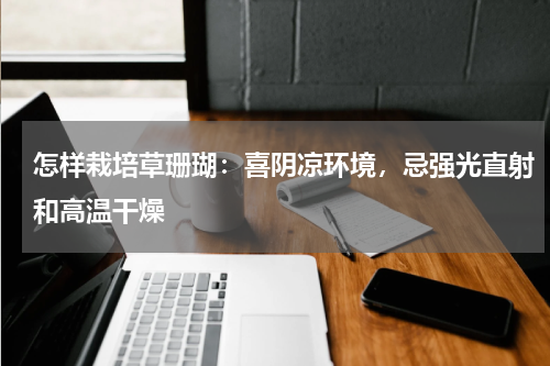 怎样栽培草珊瑚:喜阴凉环境,忌强光直射和高温干燥