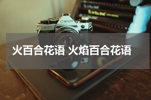 火百合花语 火焰百合花语