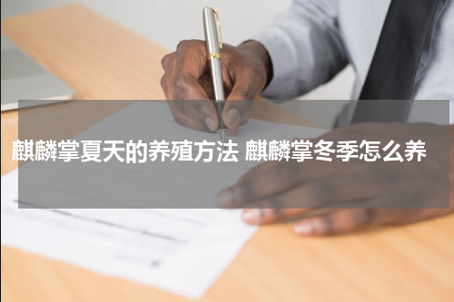 麒麟掌夏天的养殖方法 麒麟掌冬季怎么养