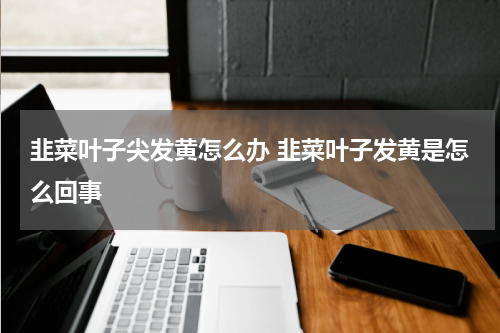 韭菜叶子尖发黄怎么办 韭菜叶子发黄是怎么回事