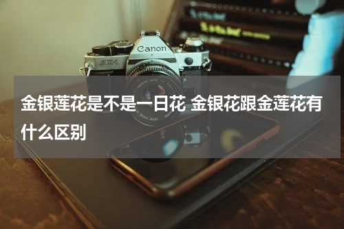金银莲花是不是一日花 金银花跟金莲花有什么区别