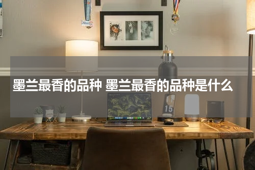 墨兰最香的品种 墨兰最香的品种是什么