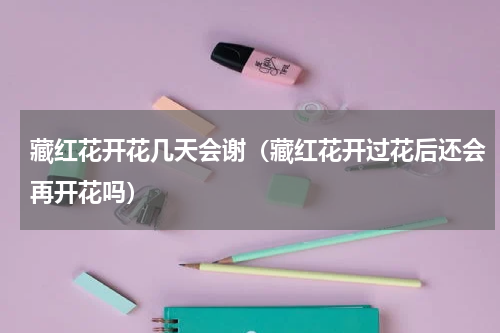 藏红花开花几天会谢(藏红花开过花后还会再开花吗)