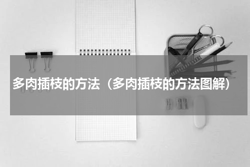 多肉插枝的方法(多肉插枝的方法图解)