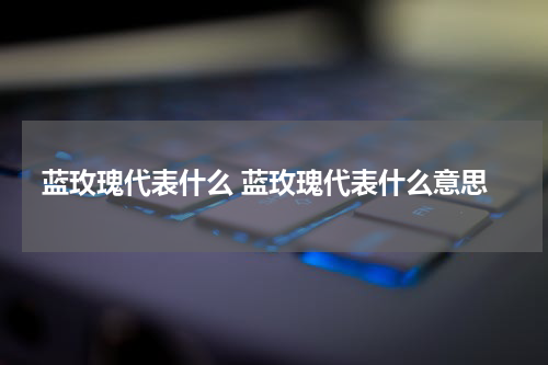 蓝玫瑰代表什么 蓝玫瑰代表什么意思