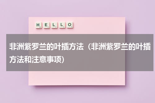 非洲紫罗兰的叶插方法(非洲紫罗兰的叶插方法和注意事项)